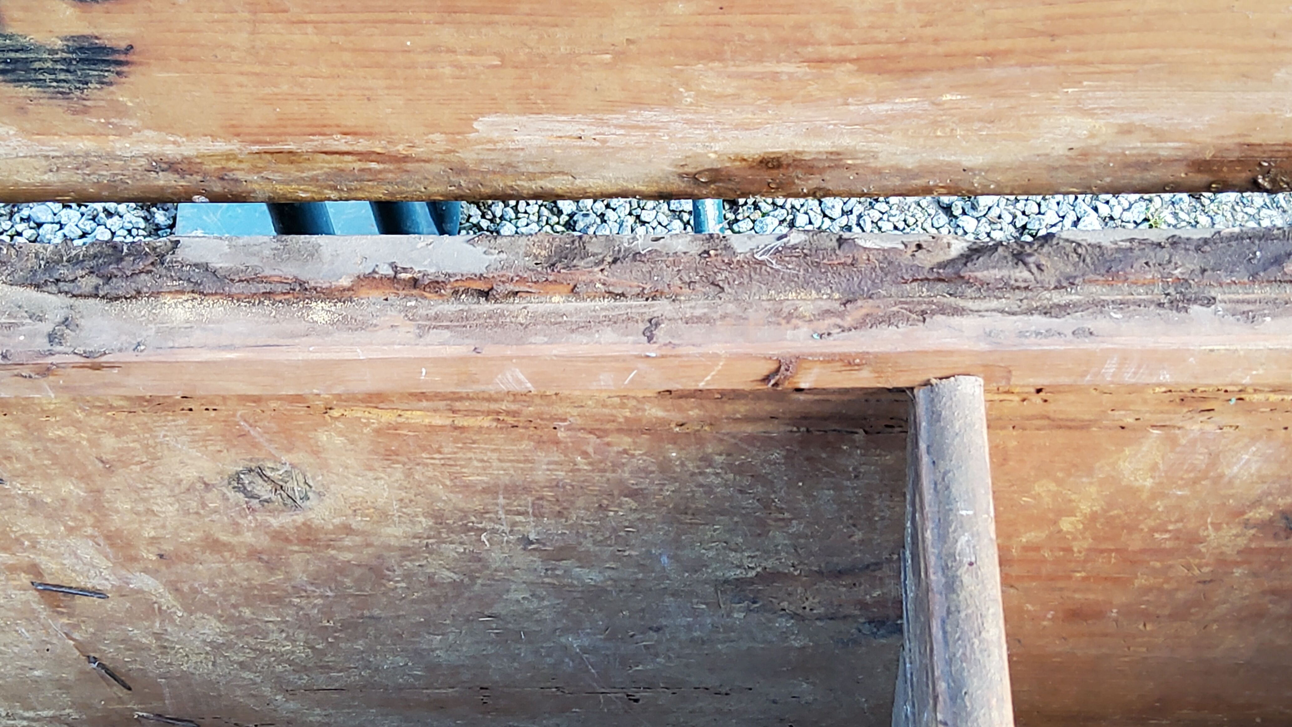 Alsatian polychrome wedding chest eighteenth -nineteenth century