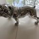 Statuette dog silver bulldog