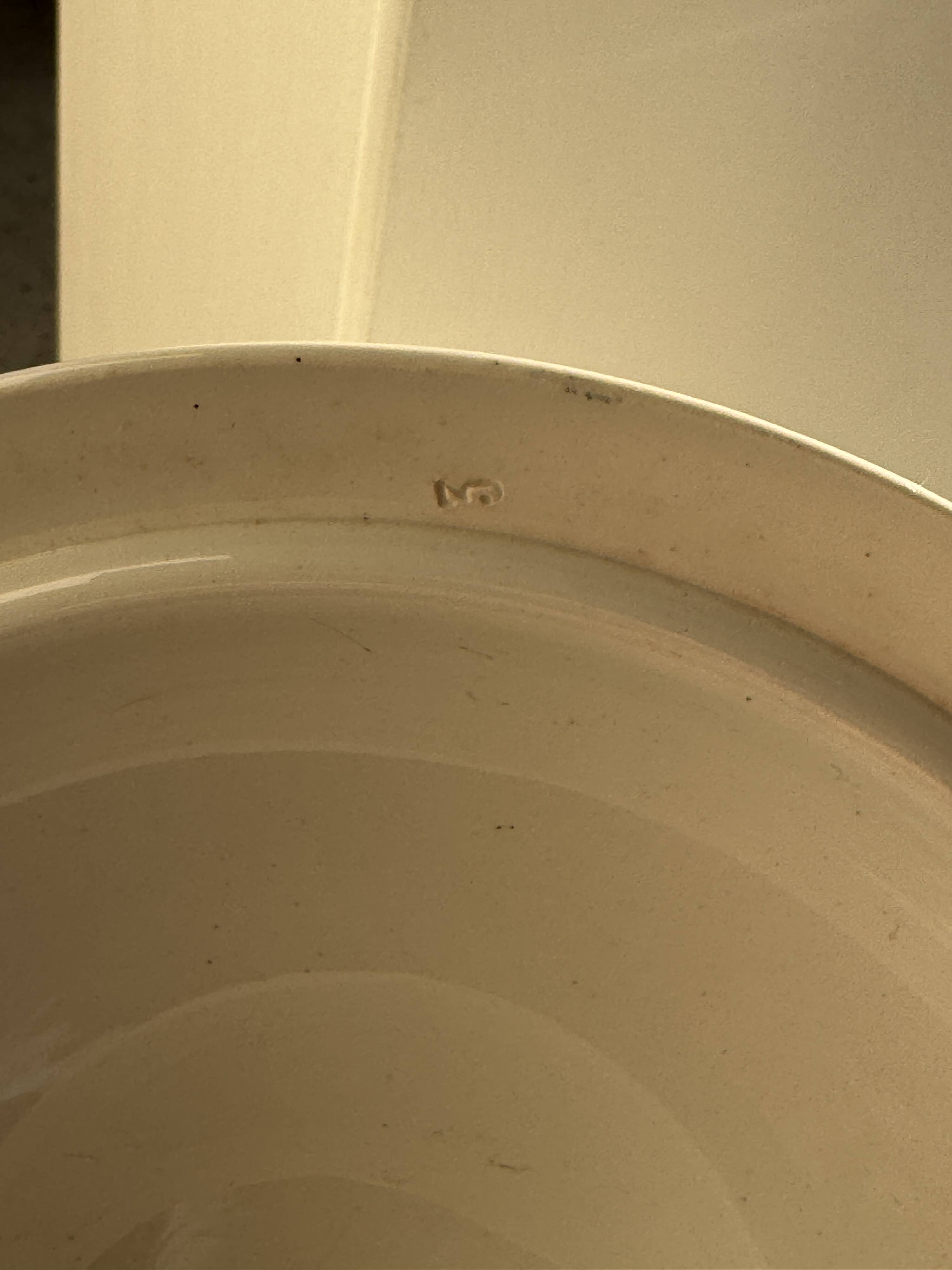 Covered soup tureen or vegetable dish in Saint Amand earthenware H29 D28