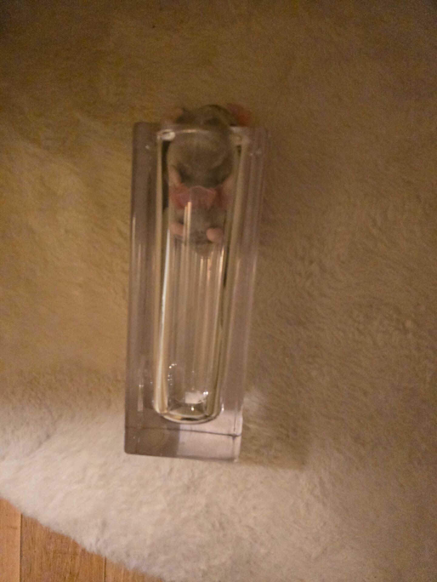 Crystal vase