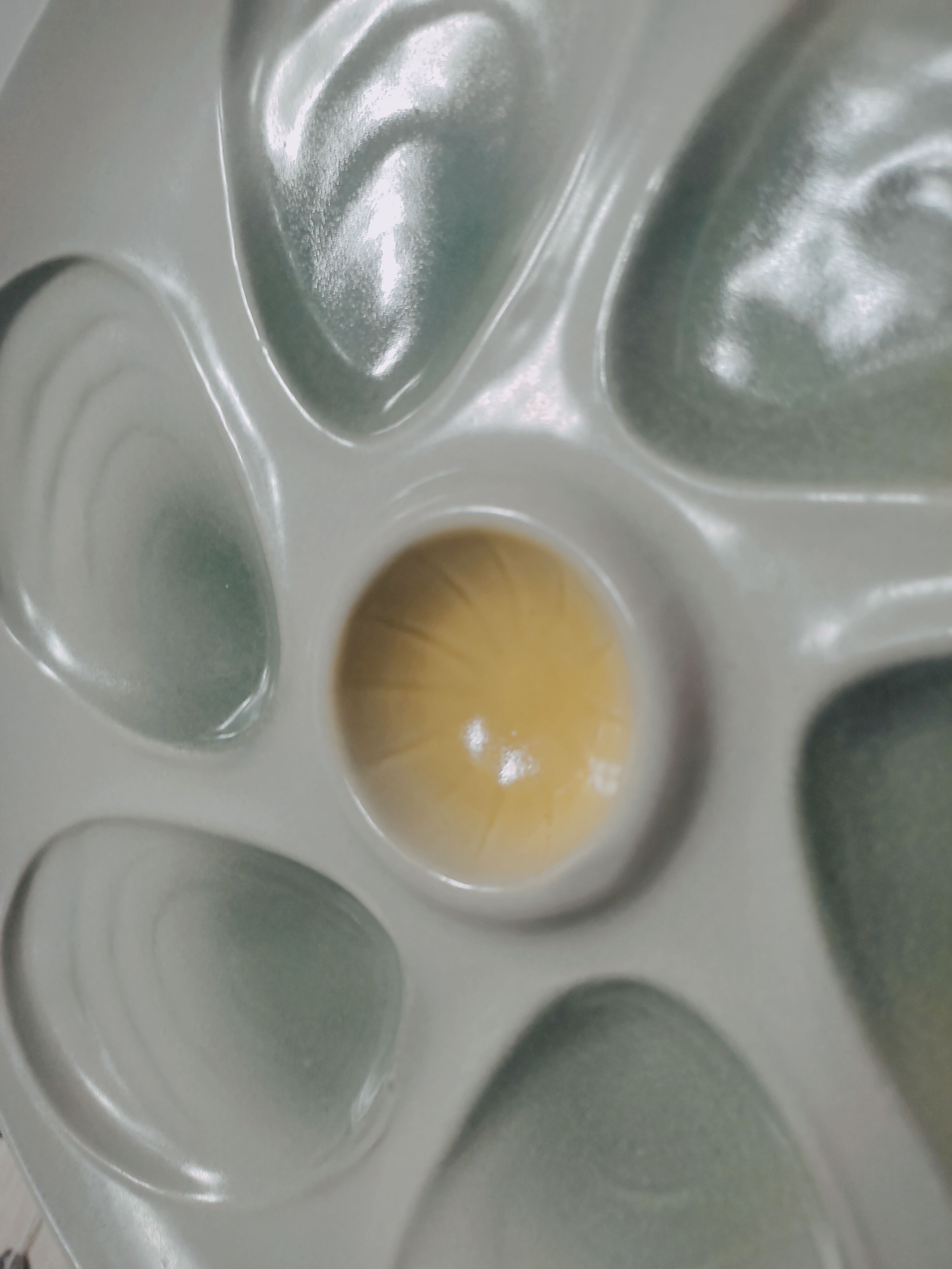 8 oyster plates in slurry by salins