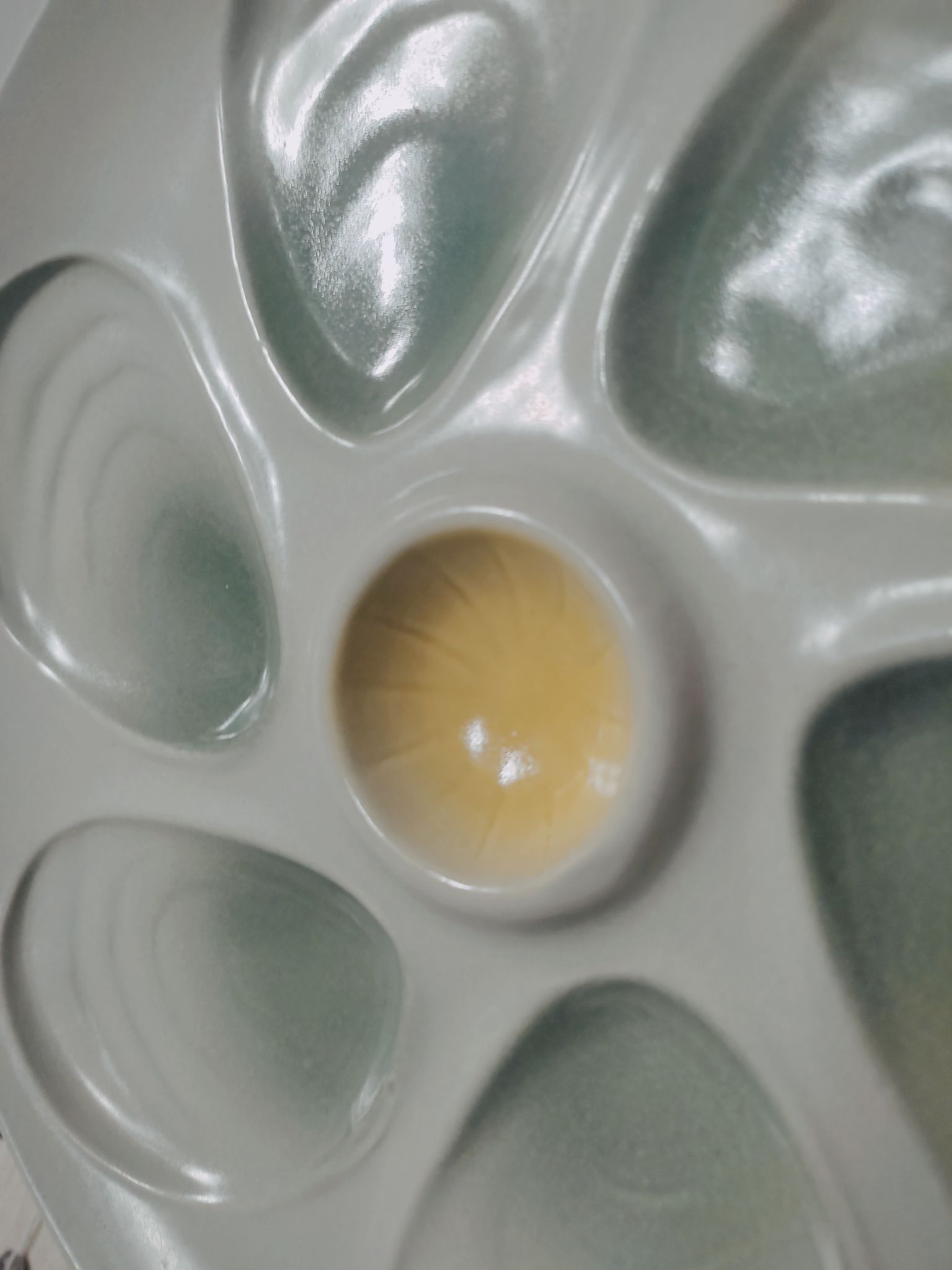 8 oyster plates in slurry by salins