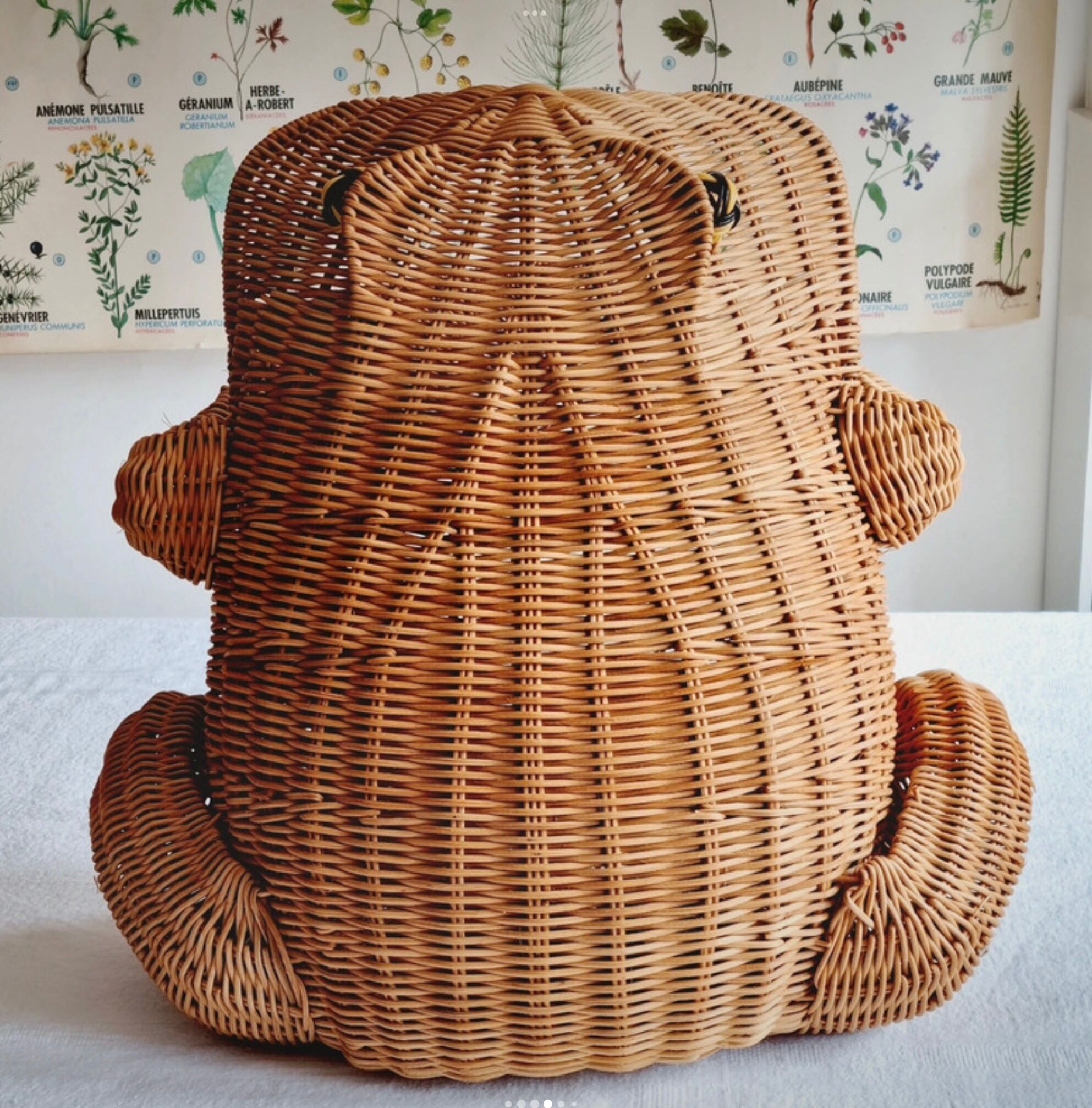 Wicker frog magazine holder Olivier Cajan