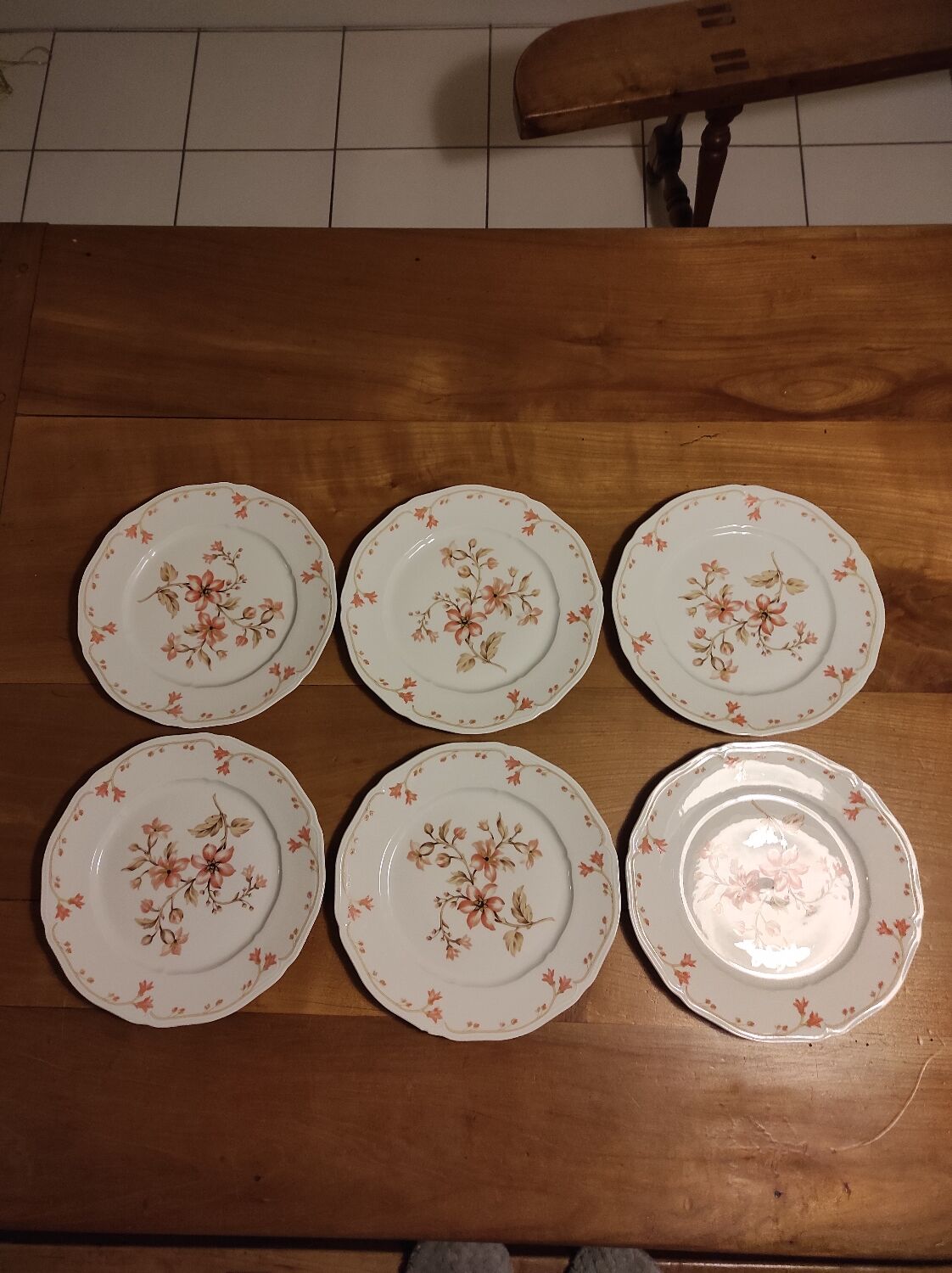 Set of 6 Limoges porcelain dinner plates by Deshoulières