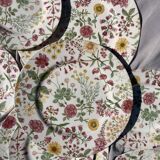 12 antique plates and 1 Royal stafford platter