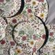 12 antique plates and 1 Royal stafford platter