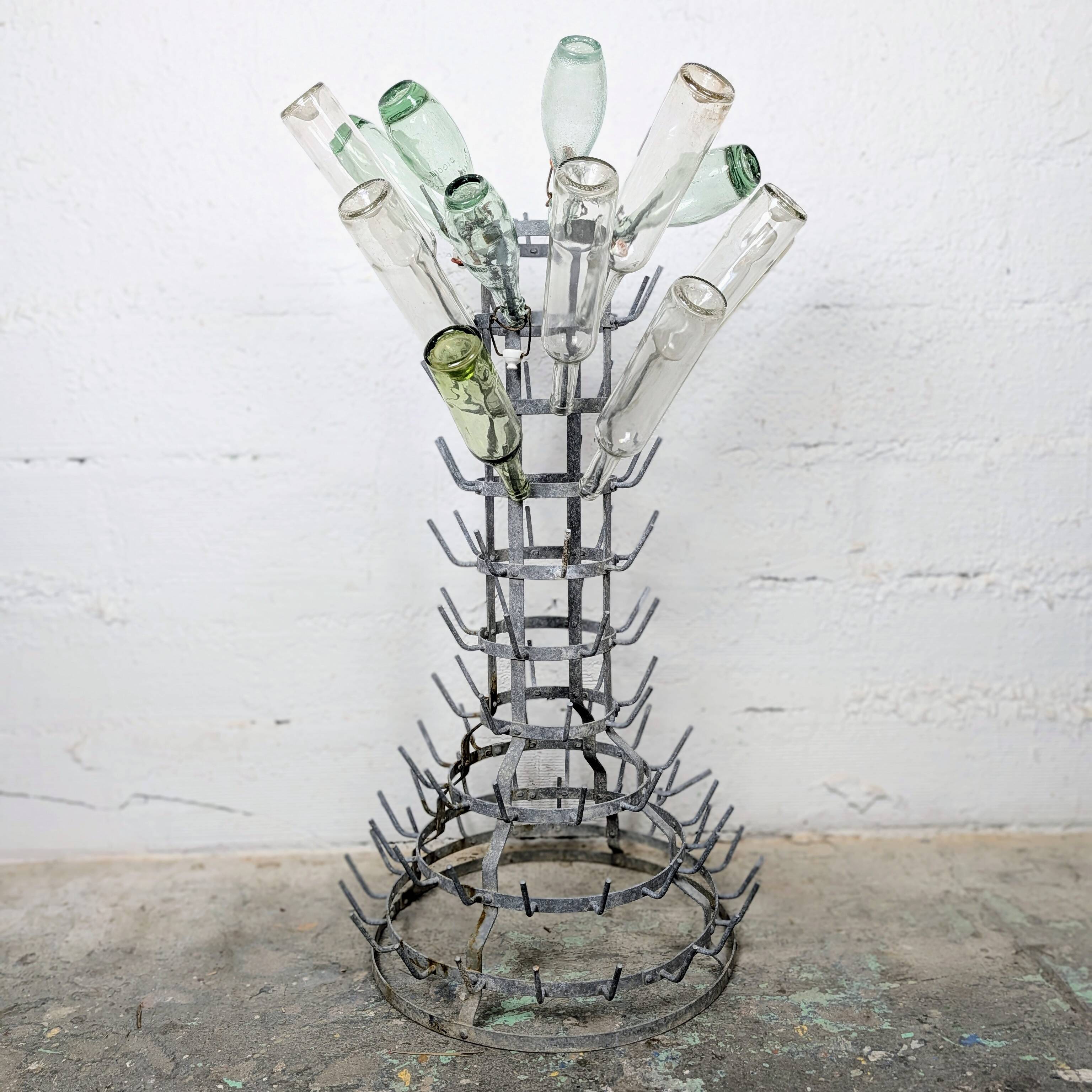 Hedgehog or bottle tree