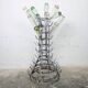 Hedgehog or bottle tree