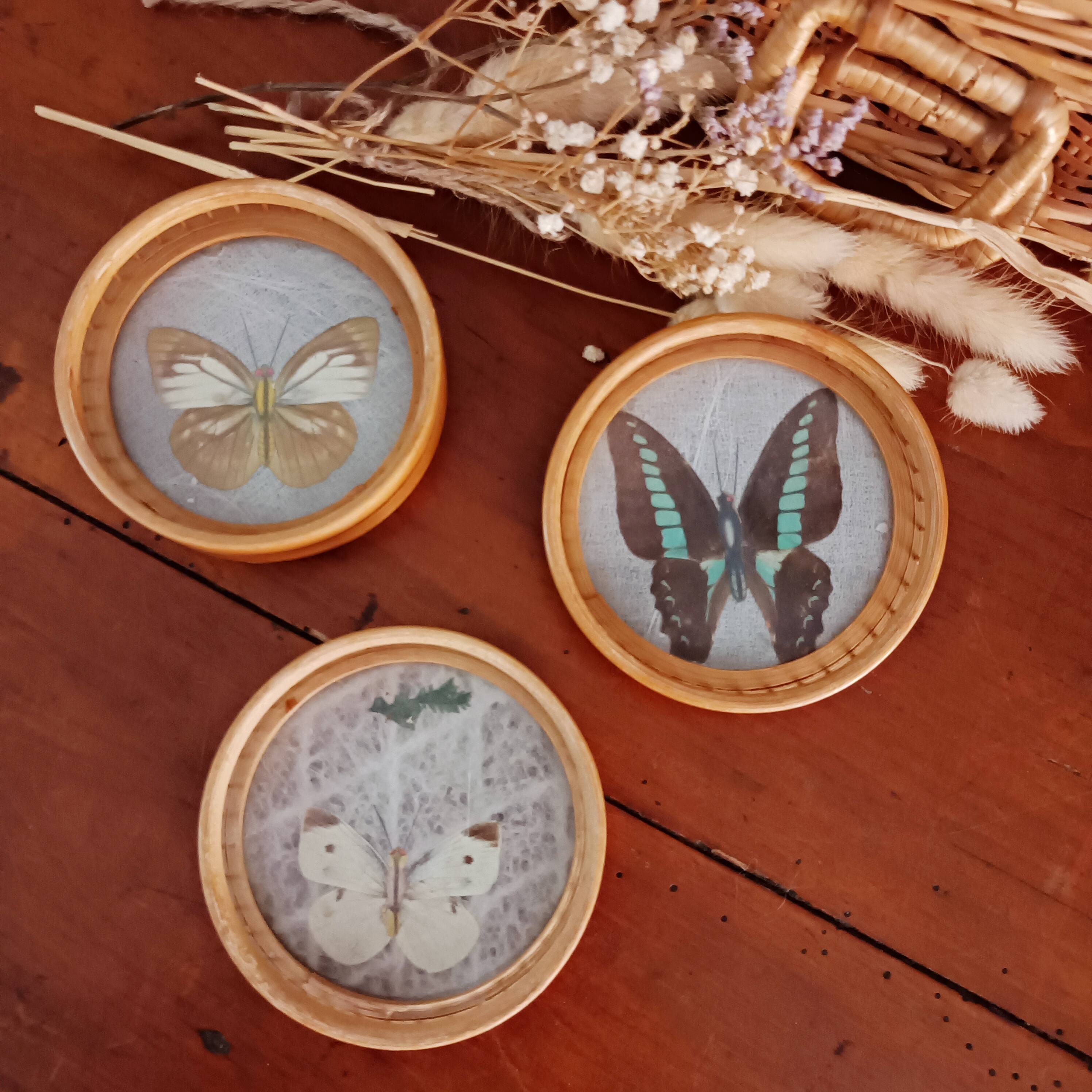 Set of 6 butterfly coasters