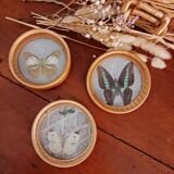 Set of 6 butterfly coasters