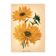 Botanical Engraving 1911 - Hélianthus by J. Guillot - Flower, Lithograph
