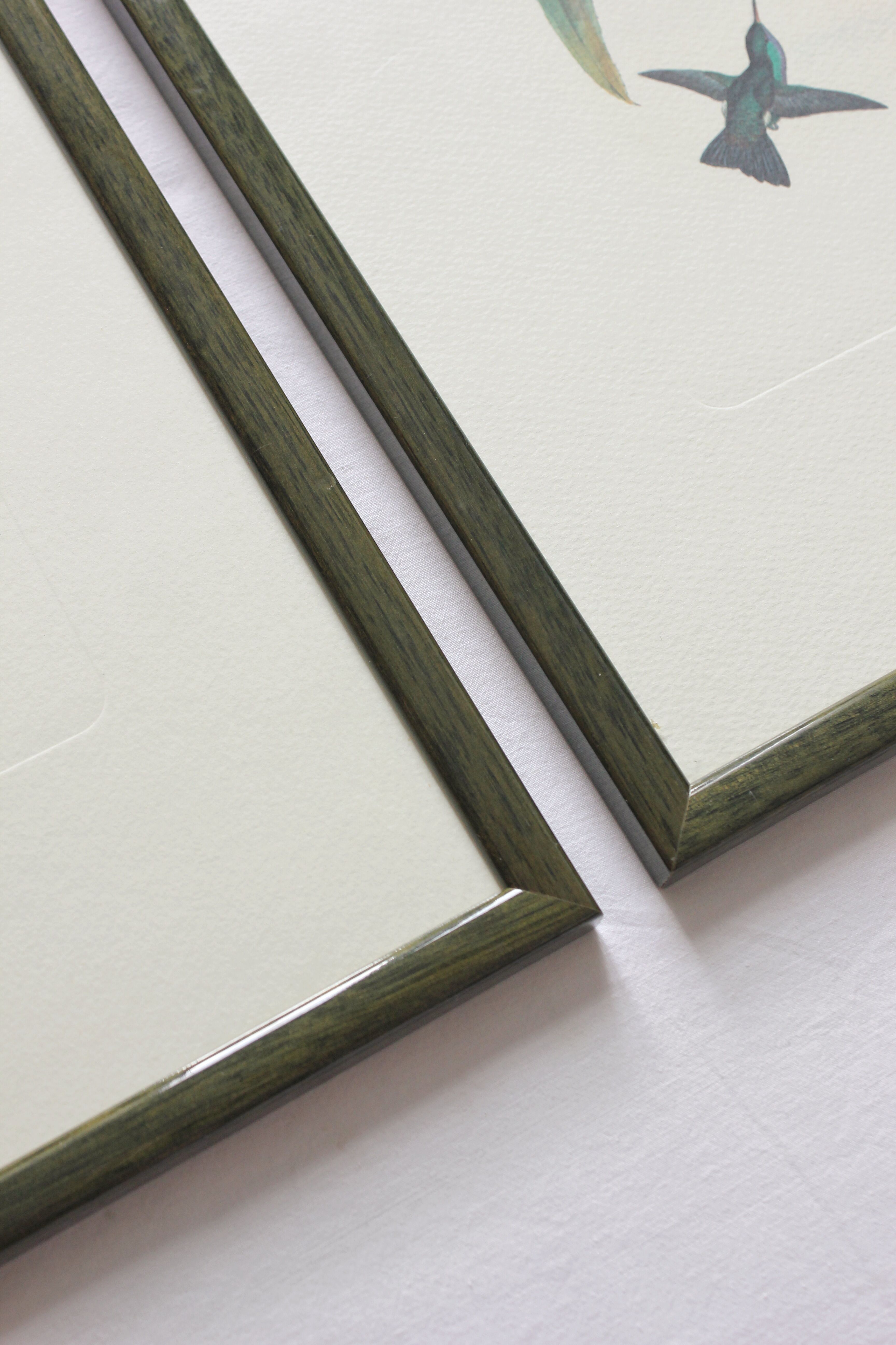 2 framed bird lithographs, vintage watercolor posters