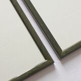 2 framed bird lithographs, vintage watercolor posters