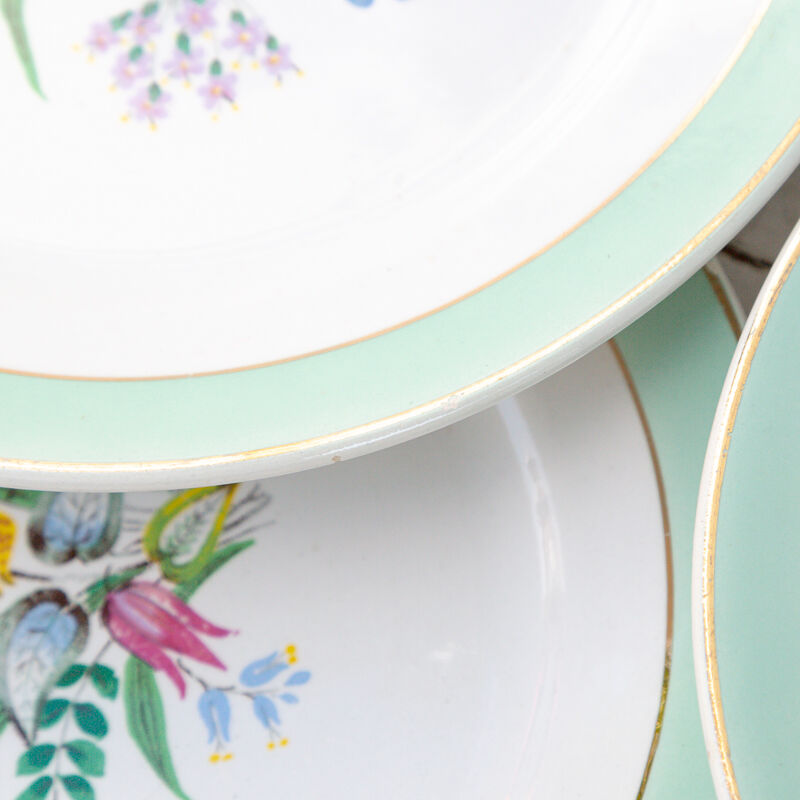 6 dessert plates Badonviller flower pattern and green and golden headband