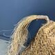 Vintage Spanish straw life size pony/horse, 1960s