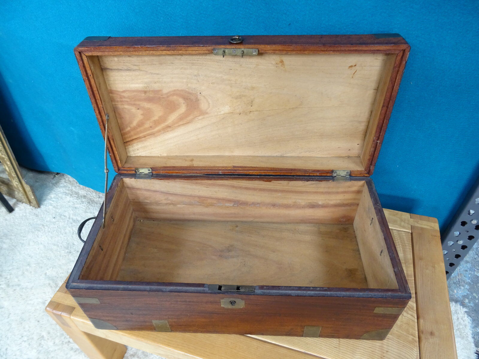 Old marine trunk in camphor tree