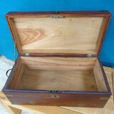 Old marine trunk in camphor tree