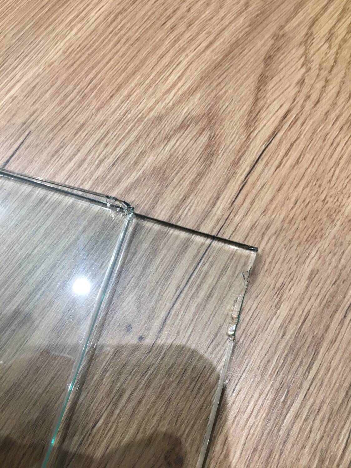 Shark by Starck chrome photo frame