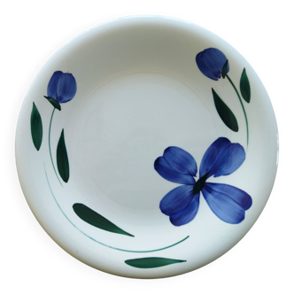 Primula dinner plate (Italy)