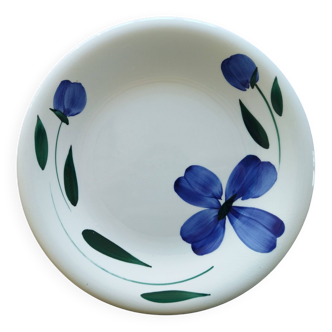 Assiette plate Primula, Italie