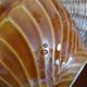 Antique faceted earthenware bowls