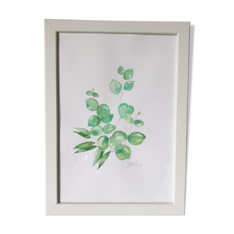 Aquarelle originale d'eucalyptus encadrée