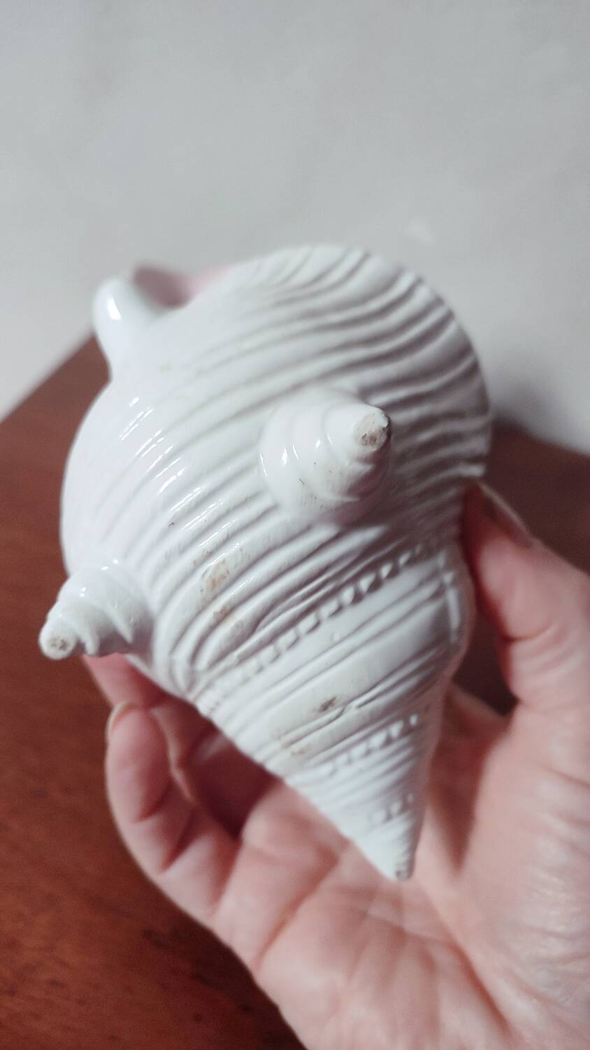 Duo of ceramic shell-shaped storage compartments