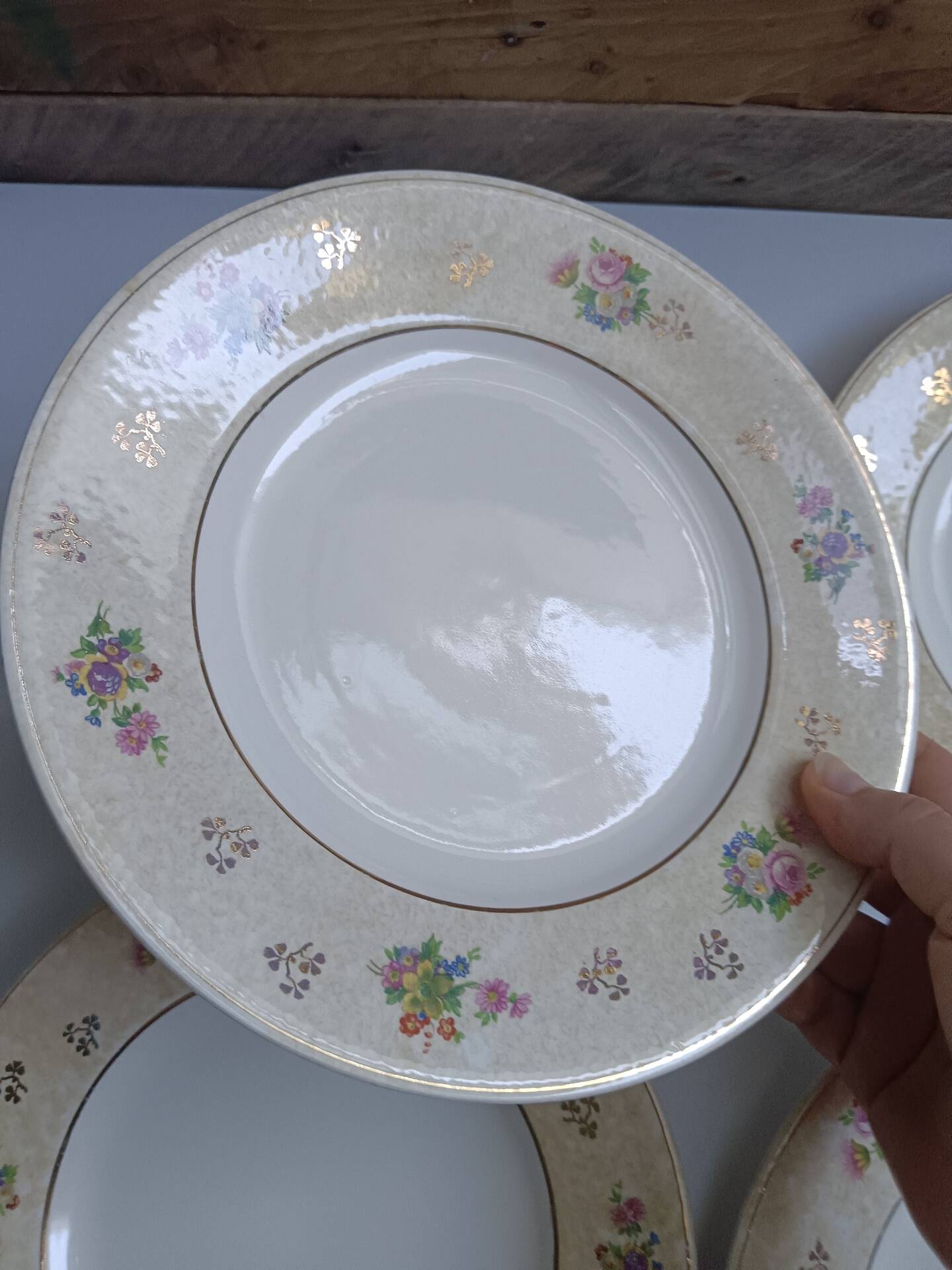 Set of 6 flat plates Salins model Simone beige with flowers.