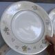 Set of 6 flat plates Salins model Simone beige with flowers.