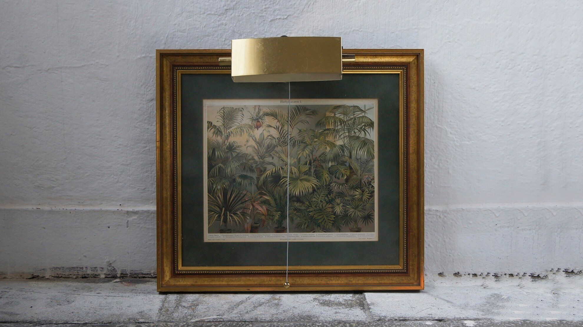 Lampes de marque Lita