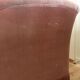 Seashell toad sofa