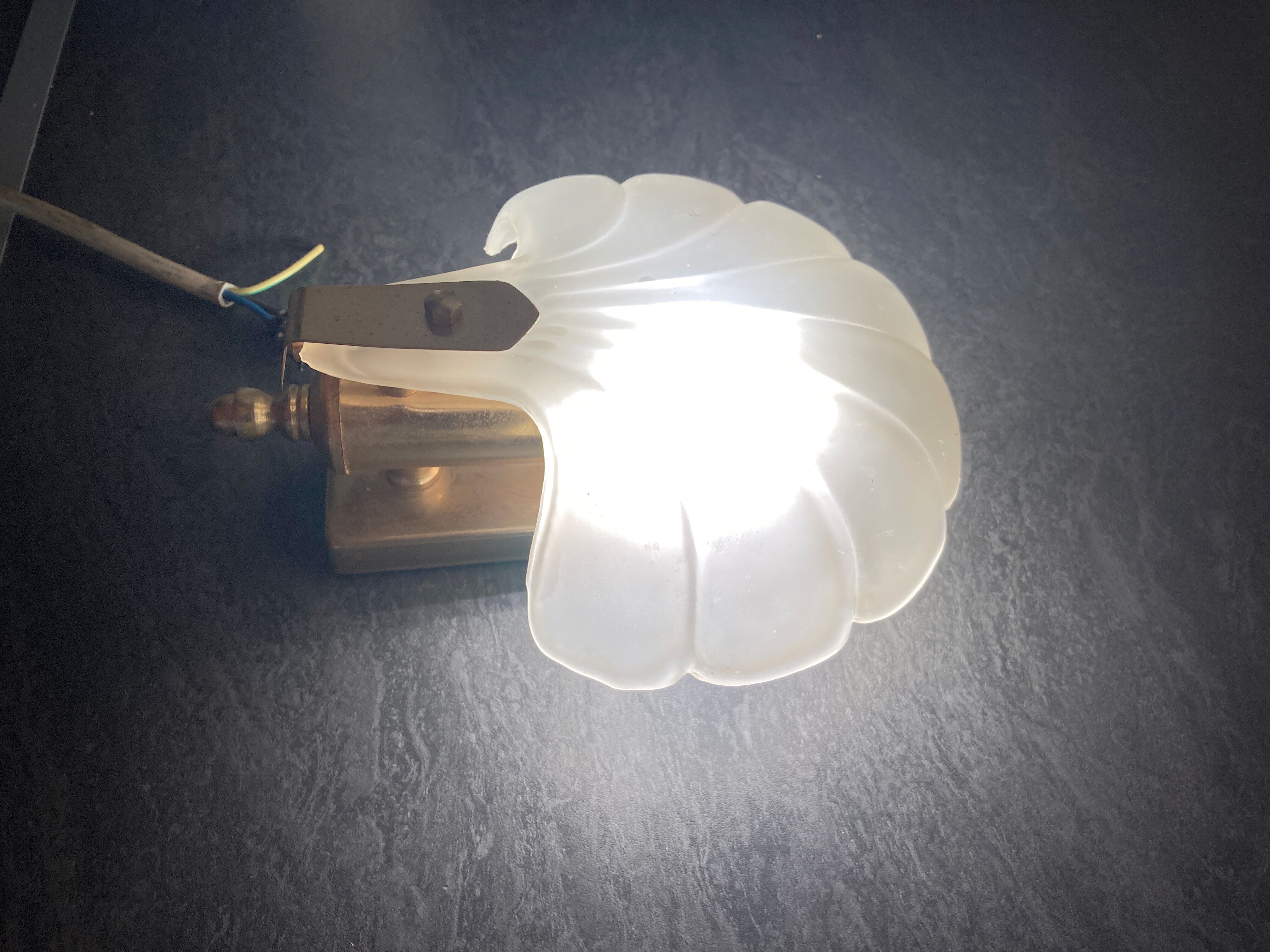 Frosted glass shell wall lamps