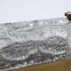 Glass wall lamp by Carl Fagerlund for Orrefors Sweden 1960s set of 2