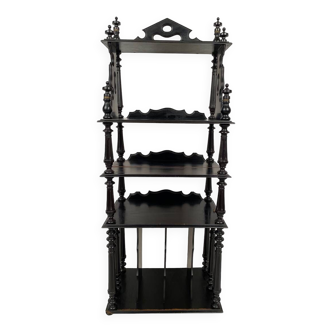 Napoleon III partition cabinet in blackened wood