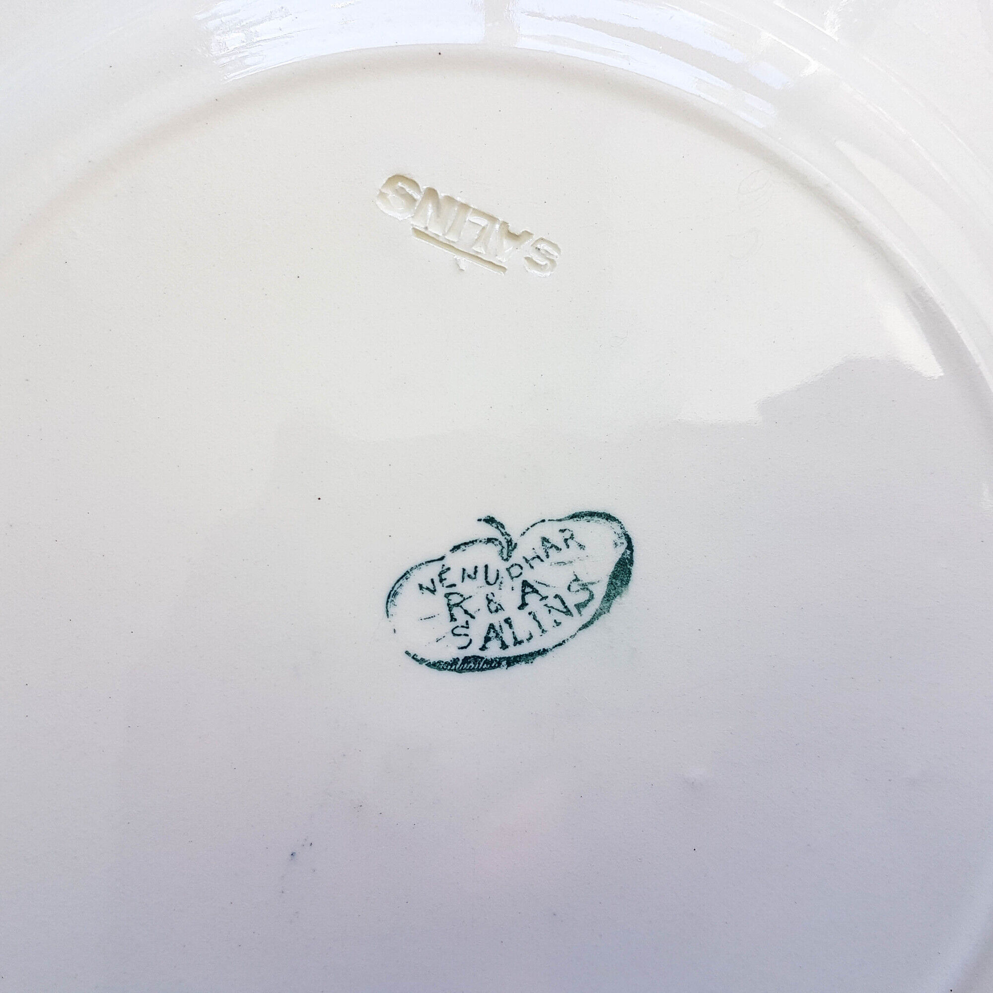 Lot de 6 assiettes plates Terre de Fer "Nénuphar" R&A Salins