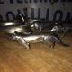 Set of 6 art deco animal knife holders