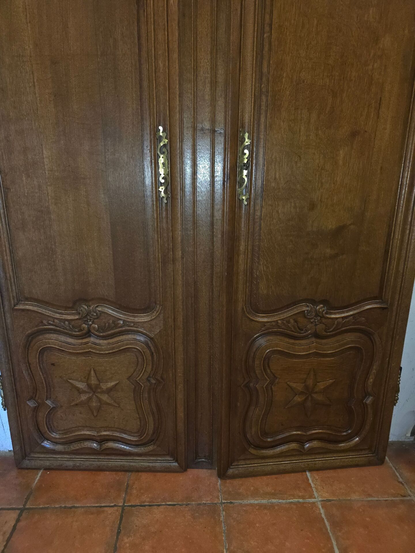 Antique oak doors in louis xv style