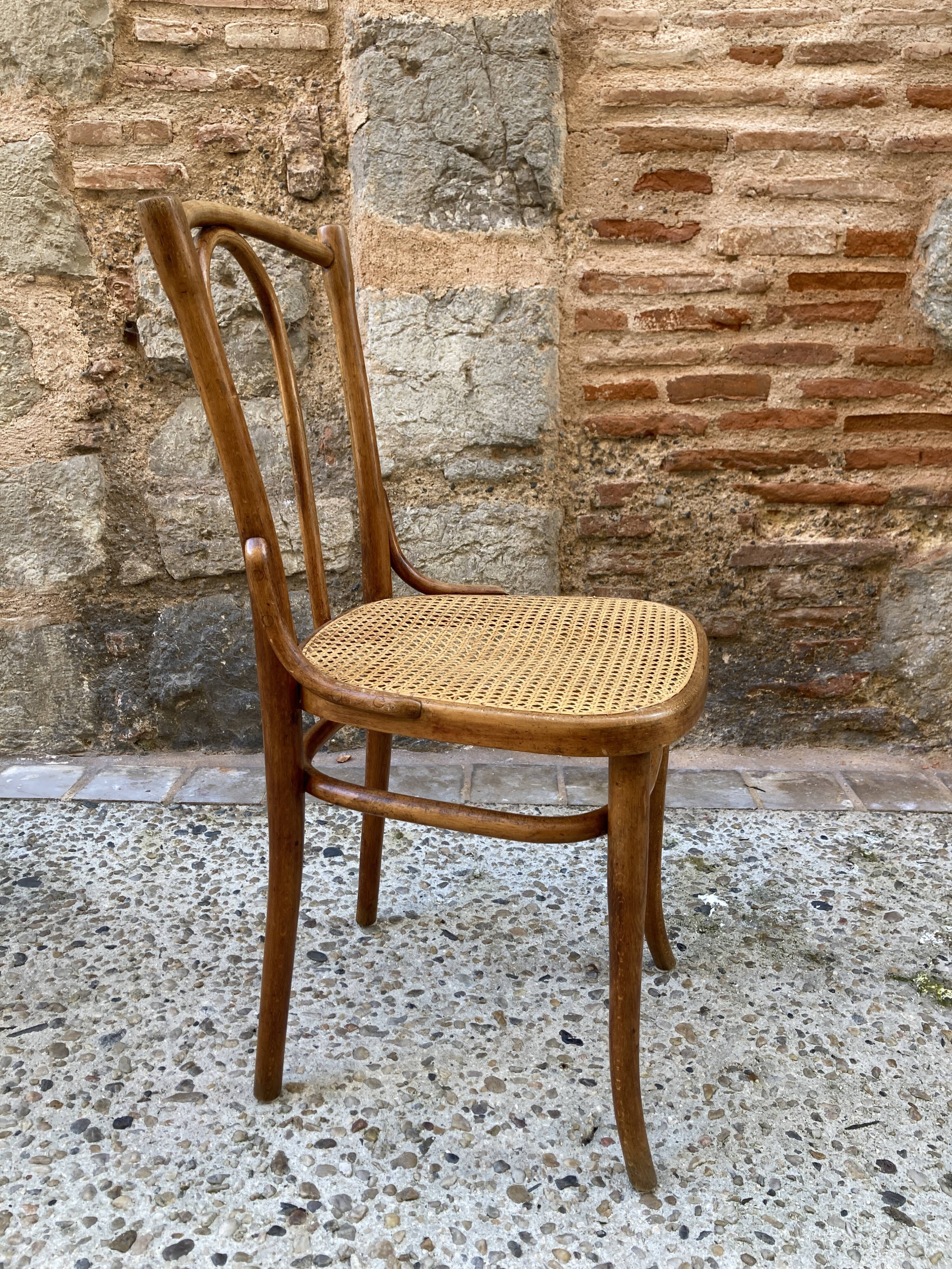Thonet chair n°56