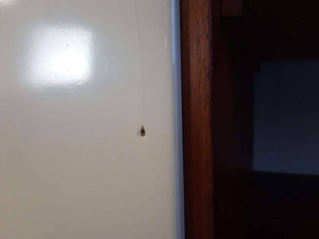 Vintage mid-height furniture / showcase / buffet