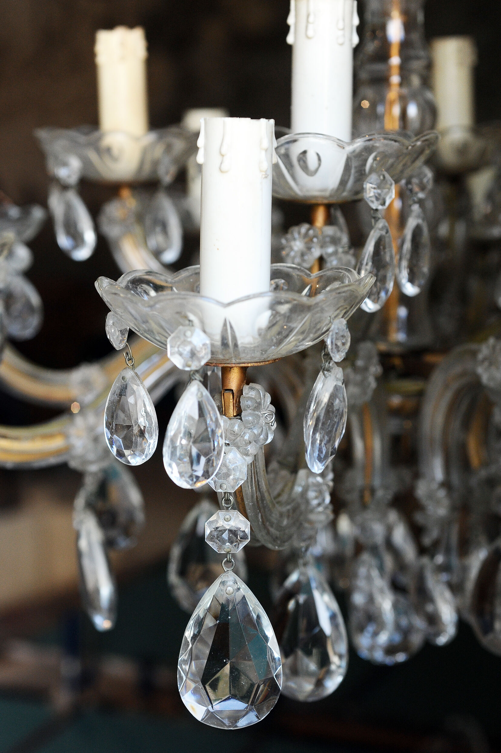 Grapevine chandelier