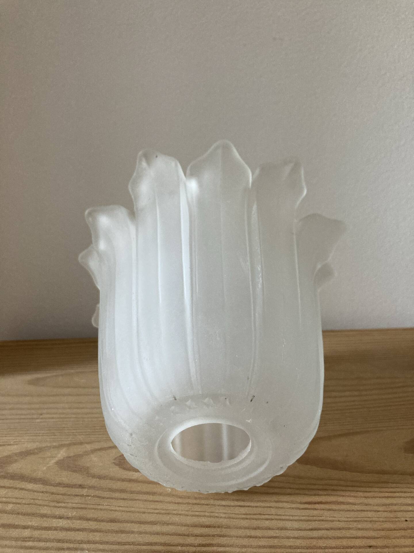 Glass tulips / pâte de verre