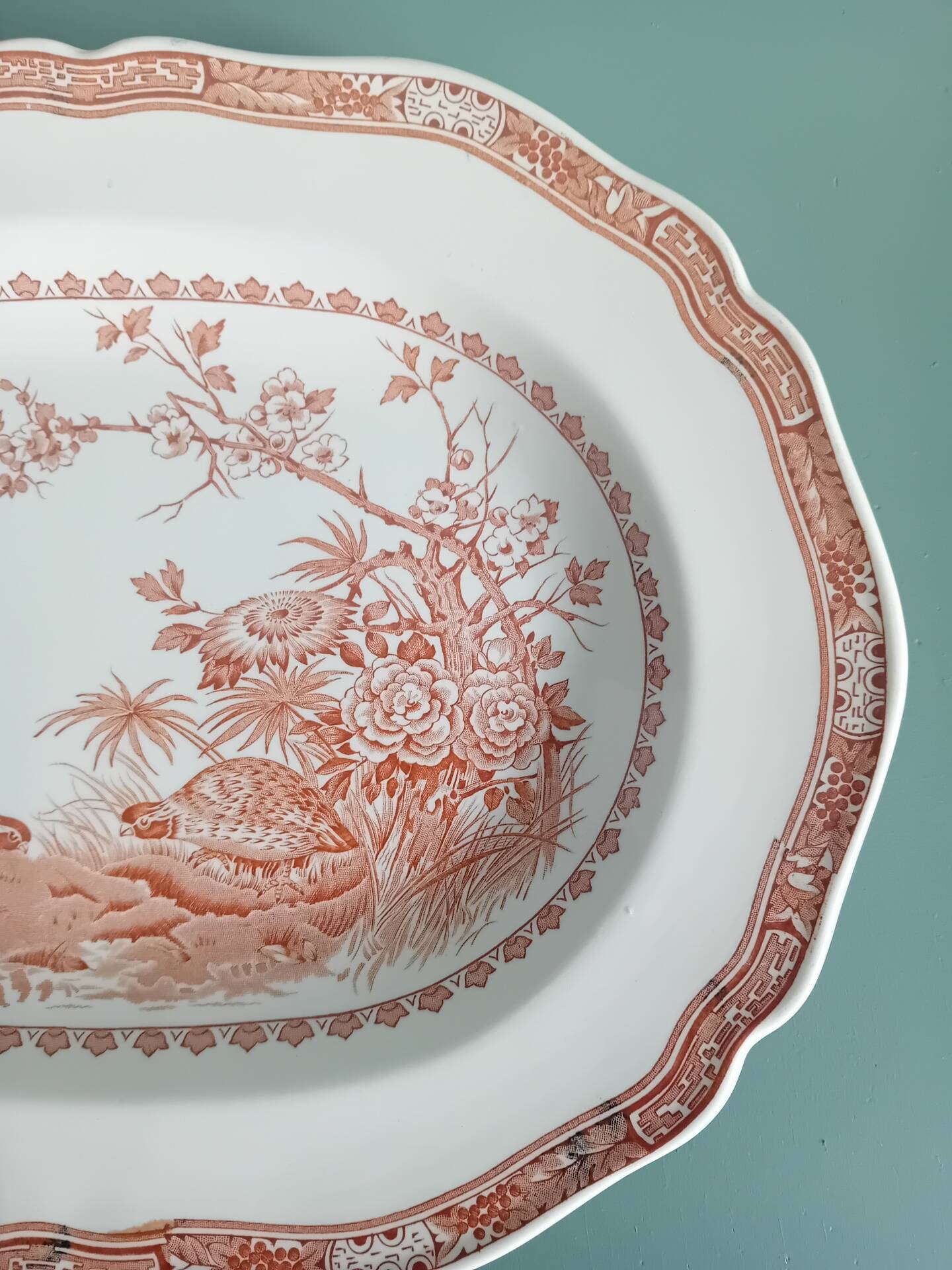 Oval plate Furnivals