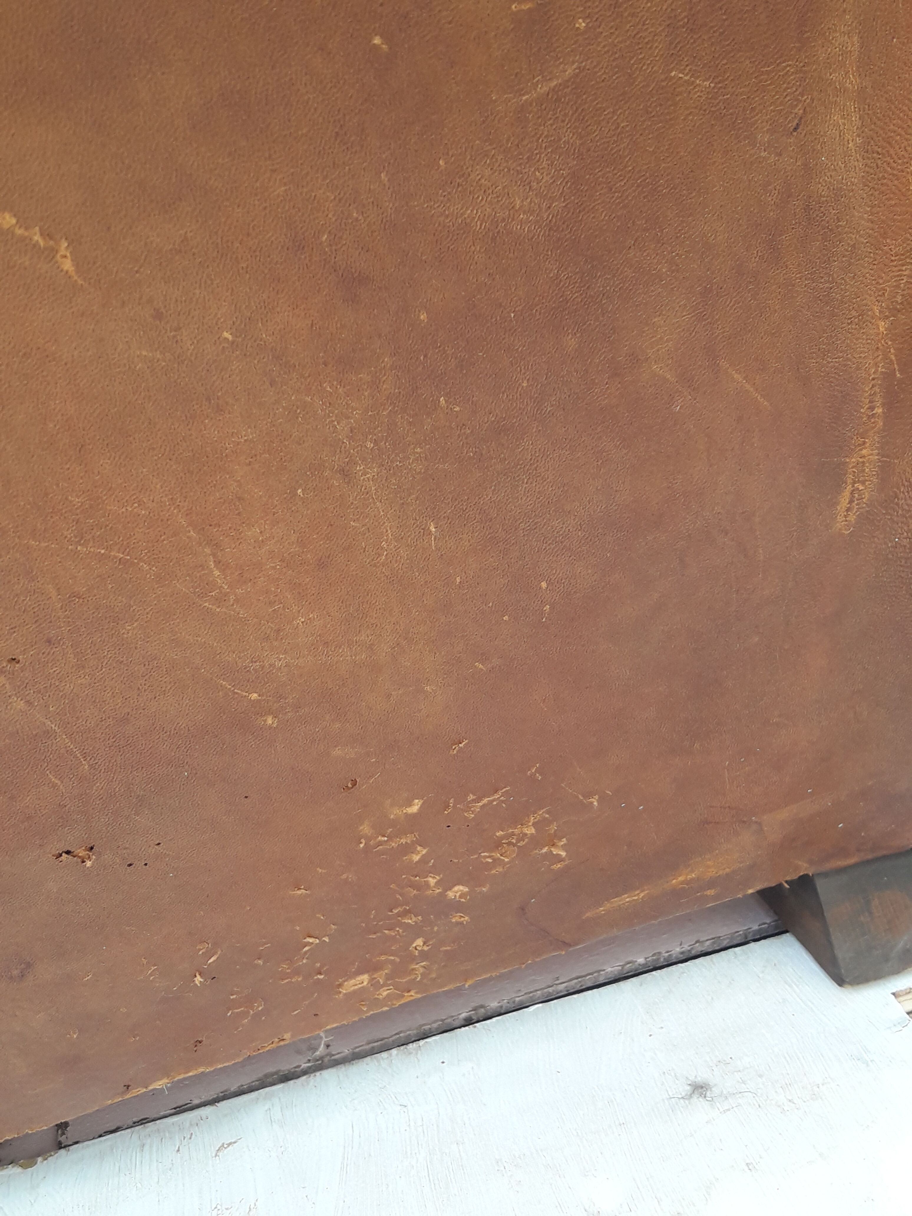 Paire de fauteuils club en cuir marron