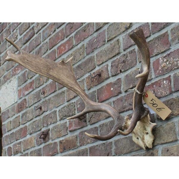 Decorative suede wood