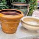 Set of 5 ceramic flower pots