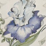 Iris flower on paper with vintage wooden frame