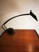 Lampe design modèle NUTRIA années 80 par FASE spain
