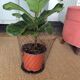 Wastepaper basket