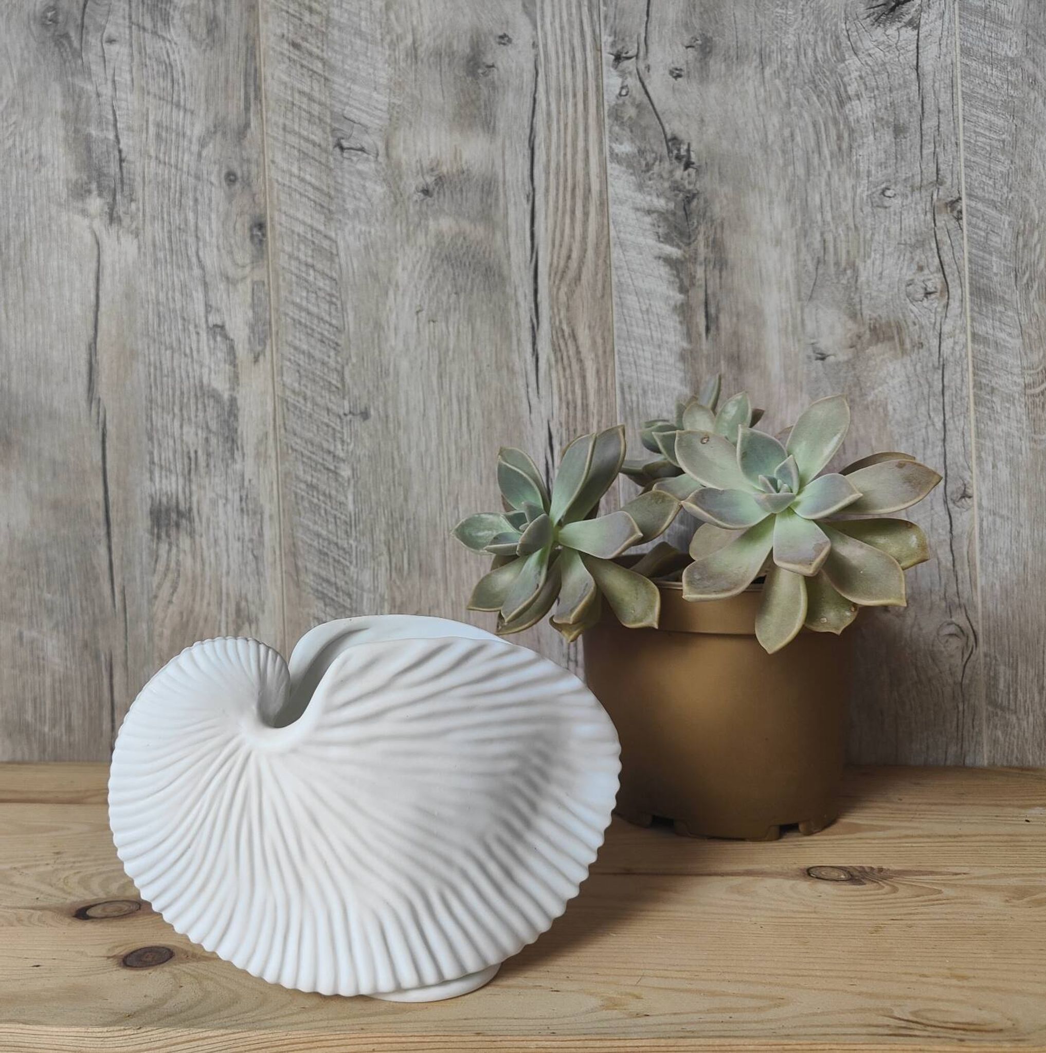 Shell tea light holder