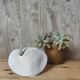 Shell tea light holder